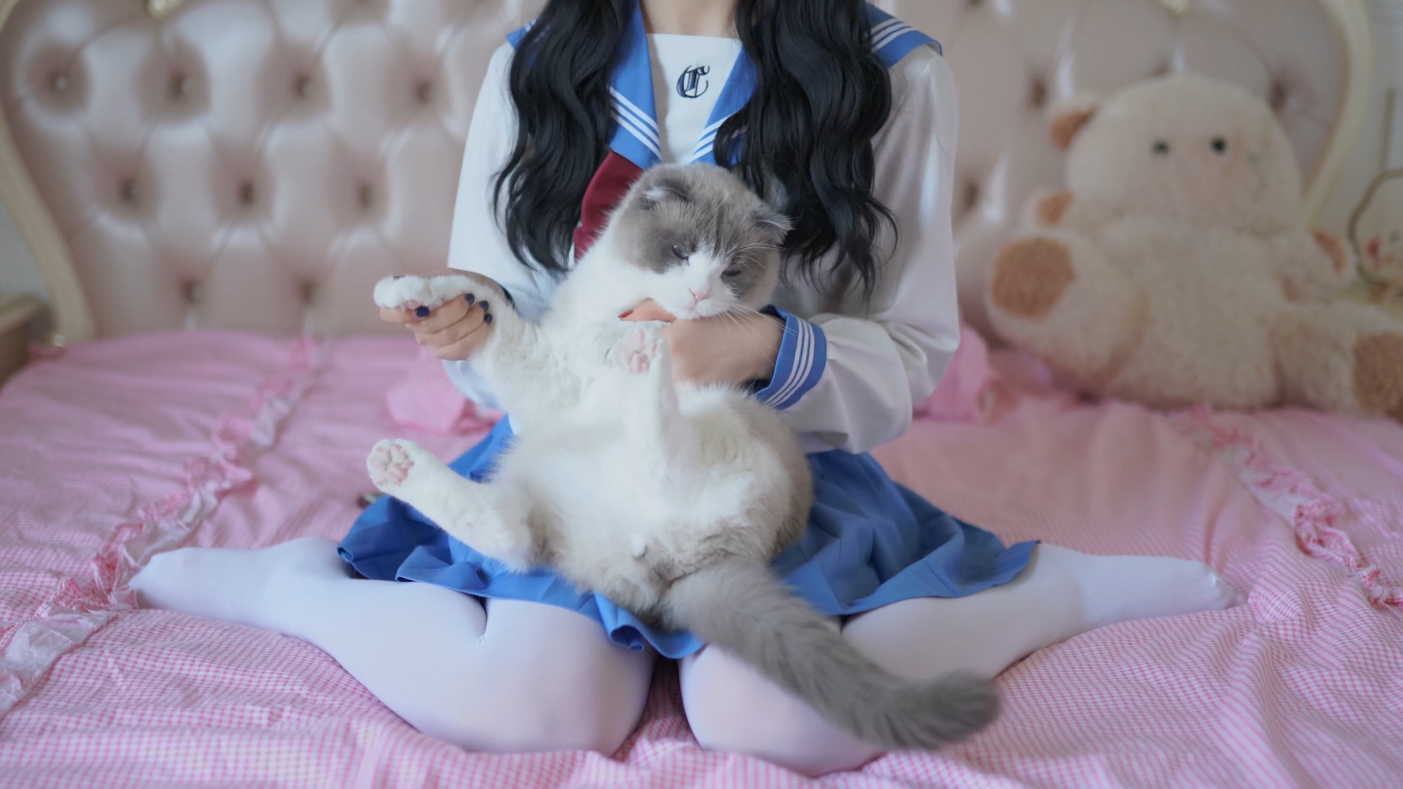 【AC居家宅舞】猫:小朋友你是否有许多问号?